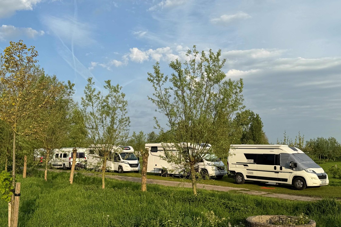 Wohnmobilstellplatz: Camperplaats Buitenplaats Molenwei