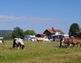 Wohnmobilstellplatz: Camping beside the horse fields - Sun Dance Ranch