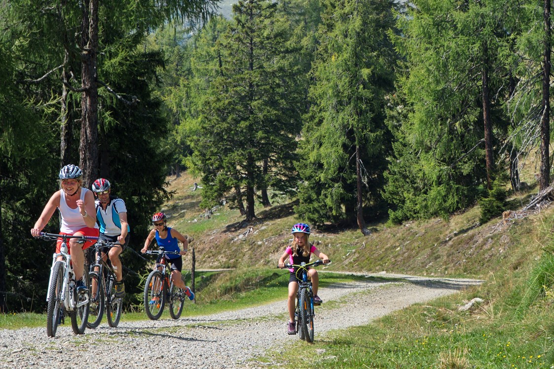 Wohnmobilstellplatz: Wer gerne höher hinaus möchte, fährt auf einer  der vielen Moutnainbike Strecken. Radverleih am Campingplatz!  - Camping am Waldbad