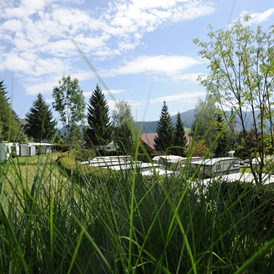Wohnmobilstellplatz: Unser Campingplatz in Salzburg ist ebenfalls ein guter Ausgangspunkt für Ihre Wanderungen, Mountainbike- und E-Bike-Touren, Schneeschuhwanderungen uvm. - Tauerncamping Radstadt