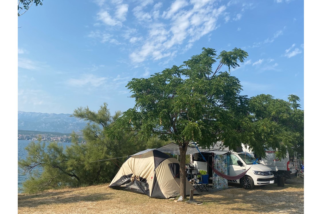 Wohnmobilstellplatz: M Platz - AdriaSol Camping Novigrad