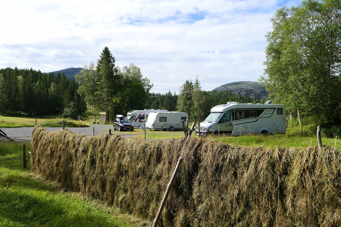 Wohnmobilstellplatz: Campingplatz mit 8 Plätze - Velfjord Camping & Hytter