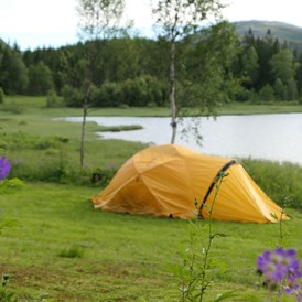 Wohnmobilstellplatz: Separater Zeltplätze - Velfjord Camping & Hytter