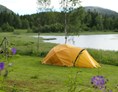 Wohnmobilstellplatz: Separater Zeltplätze - Velfjord Camping & Hytter