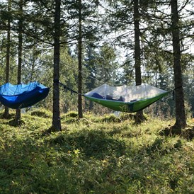 Wohnmobilstellplatz: Such dich ein Baum... - Velfjord Camping & Hytter