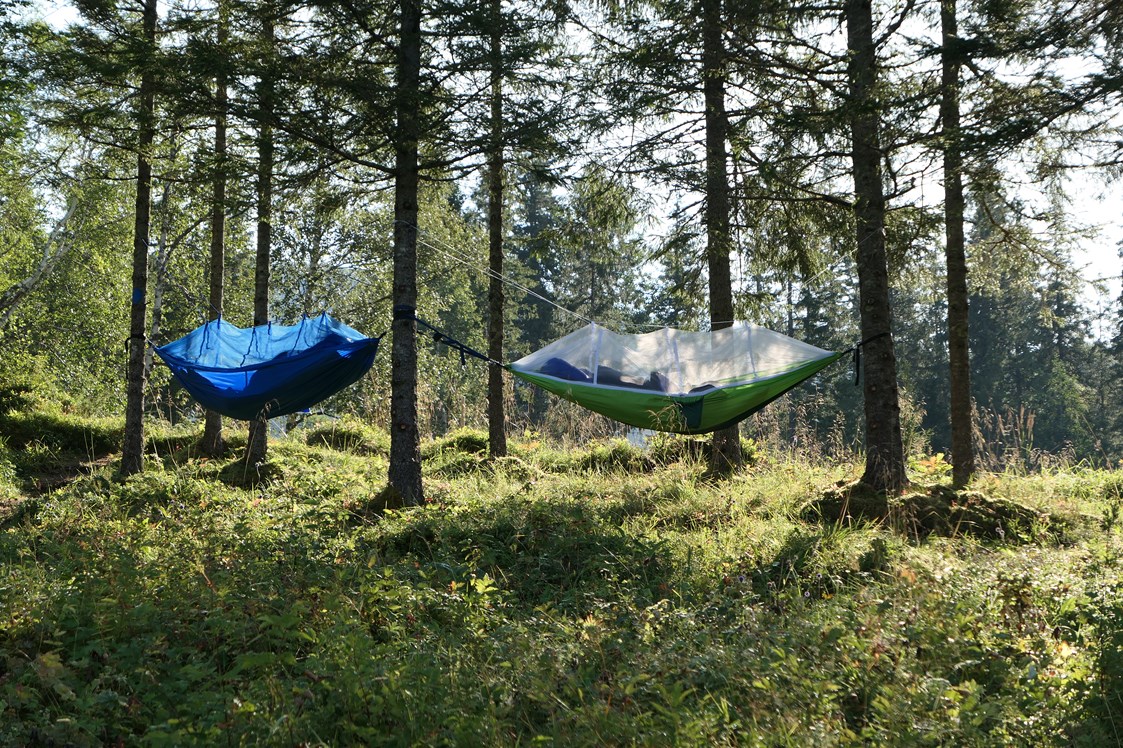 Wohnmobilstellplatz: Such dich ein Baum... - Velfjord Camping & Hytter