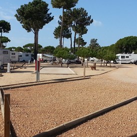 Wohnmobilstellplatz: Stellplatz 60m2 - Algarve Motorhome Park Falésia