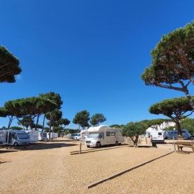 Wohnmobilstellplatz: Algarve Motorhome Park Falesia - Algarve Motorhome Park Falésia
