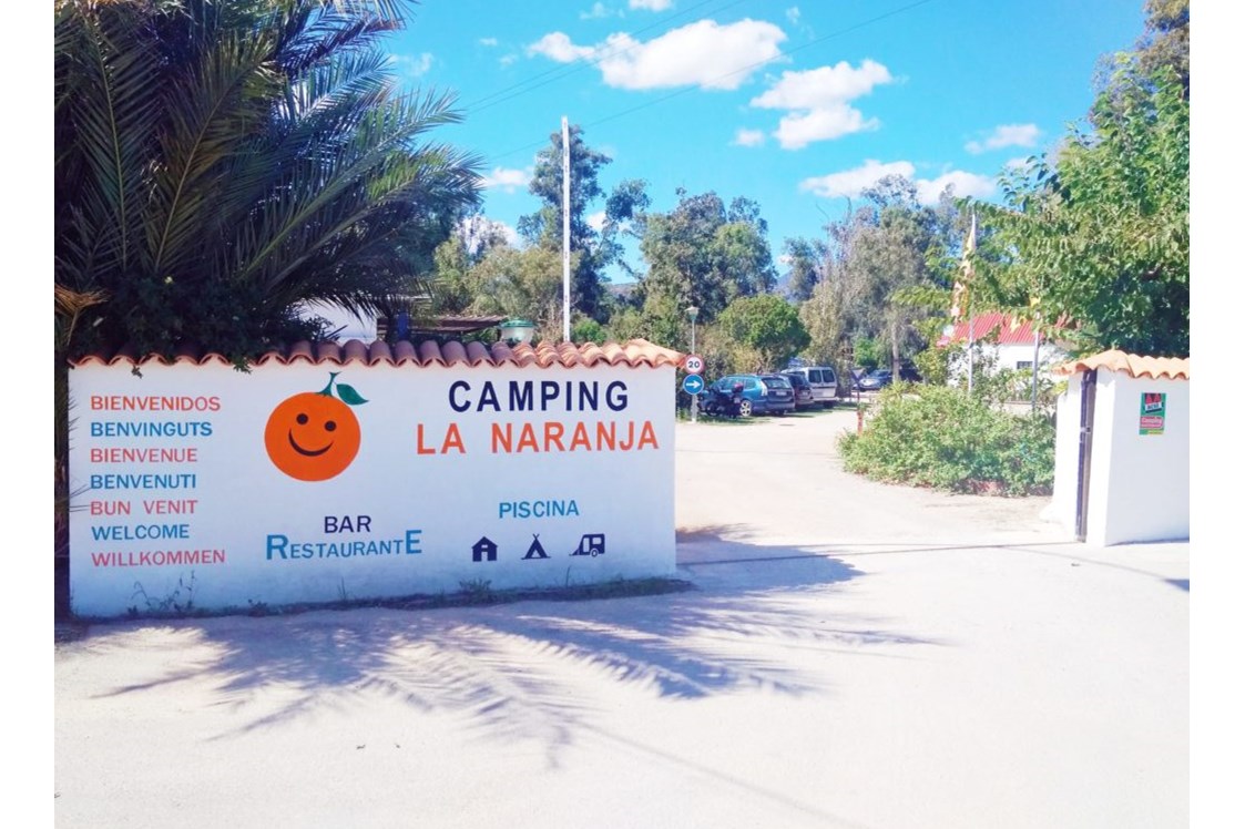 Wohnmobilstellplatz: Camping la Naranja