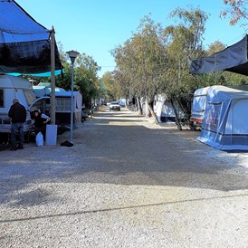 Wohnmobilstellplatz: Der Campingplatz verfügt über Straßen, die für Wohnwagen und Wohnmobile freigegeben sind - Camping la Naranja