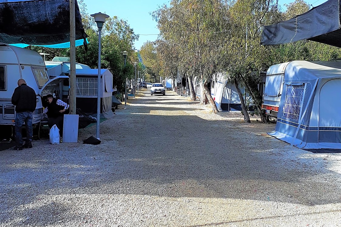 Wohnmobilstellplatz: Der Campingplatz verfügt über Straßen, die für Wohnwagen und Wohnmobile freigegeben sind - Camping la Naranja