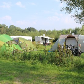 Wohnmobilstellplatz: tent plaats - Camping Stal 't Bardehof