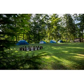 Wohnmobilstellplatz: Our main meadow with rental equipped tents. - Forest Camping Mozirje