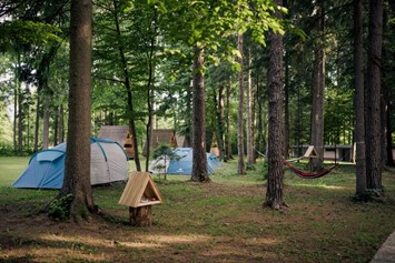 Wohnmobilstellplatz: Part of chill out place - Forest Camping Mozirje