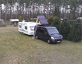 Wohnmobilstellplatz: großzügige Spuren für 1 bis 2 Fahrzeuge - Camping Am Großen Lausiger Teich