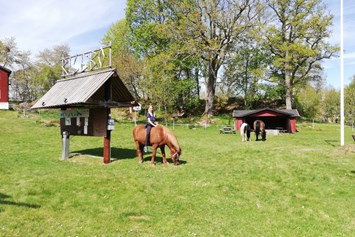 Wohnmobilstellplatz: Pferde / Ponyreiten - Risebo Gård