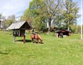 Wohnmobilstellplatz: Pferde / Ponyreiten - Risebo Gård