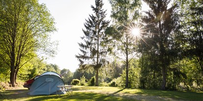 Reisemobilstellplatz - Bademöglichkeit für Hunde - Bayern - Urlaubsplatz 2, direkt am Naturbadeweiher - Campingplatz Sippelmühle