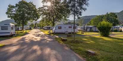 Reisemobilstellplatz - camping.info Buchung - Rheinland-Pfalz - Mosel Islands