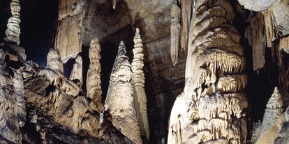Reisemobilstellplatz - Schweiz - Les Grottes de Réclère - Camping "Les Grottes"
