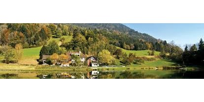 Reisemobilstellplatz - Bodensee-Vorarlberg - Schnifis - Stellplatz Düns