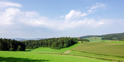 Reisemobilstellplatz - Umgebungsschwerpunkt: am Land - Nordrhein-Westfalen - Natur Pur im Melbecketal. - Naturcampingstellplätze auf dem Ferienhof Verse im Sauerland.