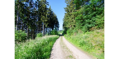 Reisemobilstellplatz - Umgebungsschwerpunkt: Berg - Nordrhein-Westfalen - Herrliche Wander und Fahrradwege - Naturcampingstellplätze auf dem Ferienhof Verse im Sauerland.