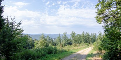 Reisemobilstellplatz - Radweg - Nordrhein-Westfalen - Herrliche Wander und Fahrradwege - Naturcampingstellplätze auf dem Ferienhof Verse im Sauerland.