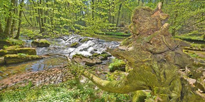 Reisemobilstellplatz - Umgebungsschwerpunkt: Fluss - Bayern - Wanderweg Rhöner Extratour "Der Thulbataler" mit erwanderbarer Naturpark Kernzone - Naturcamp Thulbatal