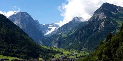 Reisemobilstellplatz - Stromanschluss - Alpen - Linthal glarus-süd - Unsere kleine Farm 