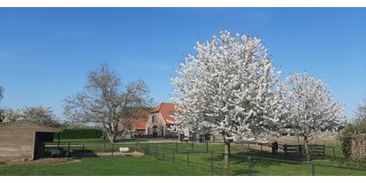 Reisemobilstellplatz - Art des Stellplatz: am Bauernhof - Niederlande - Boerderij 't Uiversnest