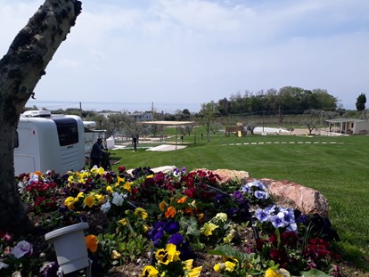 Motorhome parking space - Italy - AGRICAMPING EST GARDA - Agricamping Est Garda