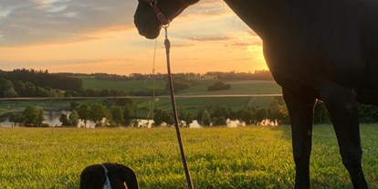 Reisemobilstellplatz - Hunde erlaubt: Hunde teilweise - Baden-Württemberg - Geführte Wanderungen mit Pferd - Trinklehof - Im Garten