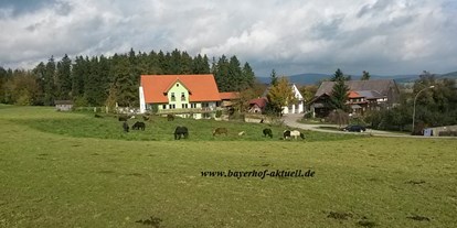 Reisemobilstellplatz - Ostbayern - Bayerhof