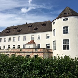 Wohnmobilstellplatz: Schloss Söldenau - Camper Stellplatz "VORMFELD"