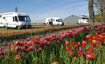 En camping-car pour voir les tulipes en fleurs en Hollande - stellplatz.info
