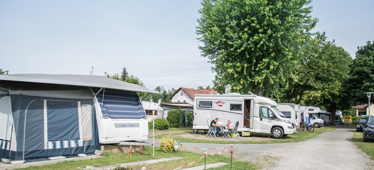 5-Sterne-ÖKO-Camping in der Steiermark: Camping Weinland  - Stellplatz.Info