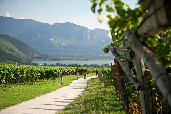 La ruta del vino del Tirol del Sur cerca del lago Kaltern