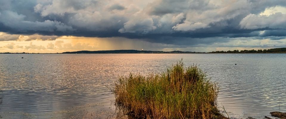 Paesaggio di Bodden nella Pomerania Occidentale con cintura di canneti