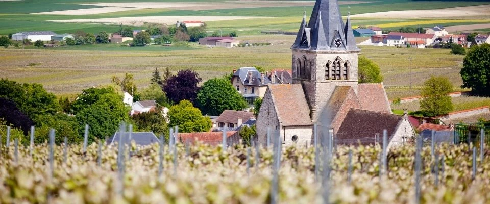 Stellplatz mit Weinberg-Blick - Ville-Dommange