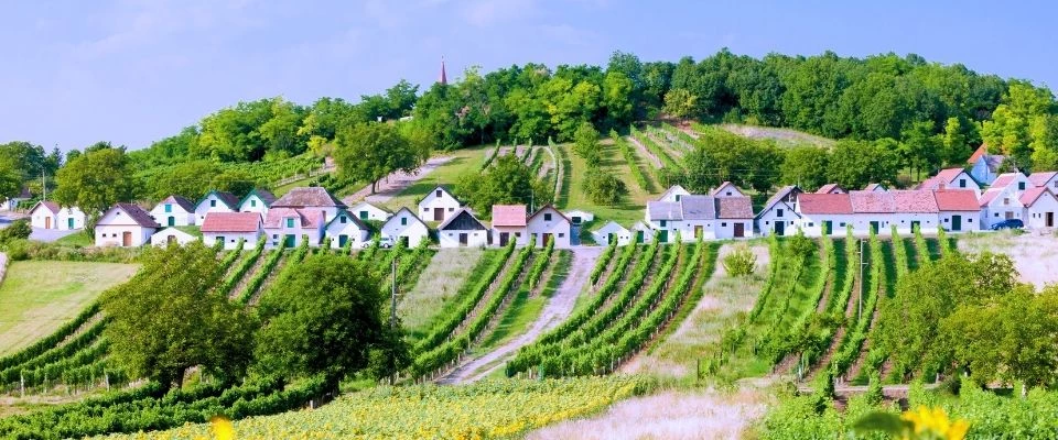 Stellplatz in der Wachau mit Donauromantik und Weinbergen