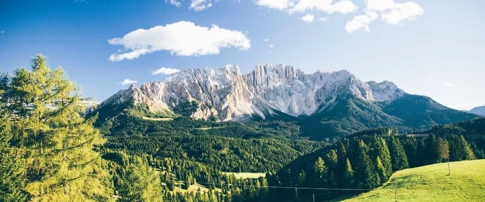 Pitch in the alpine landscape of Tyrol with mountain panorama