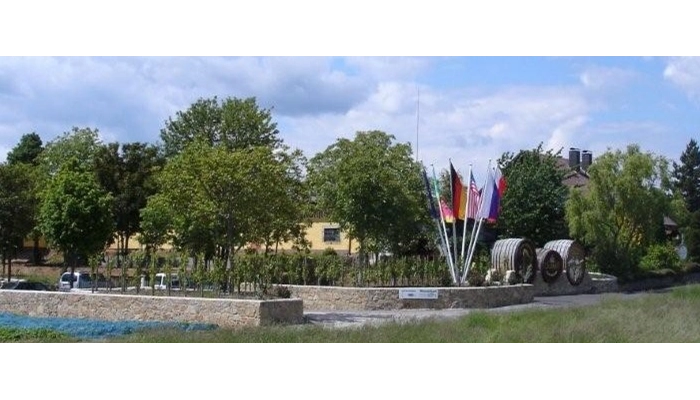 Stellplatz am Weingut Schmitt