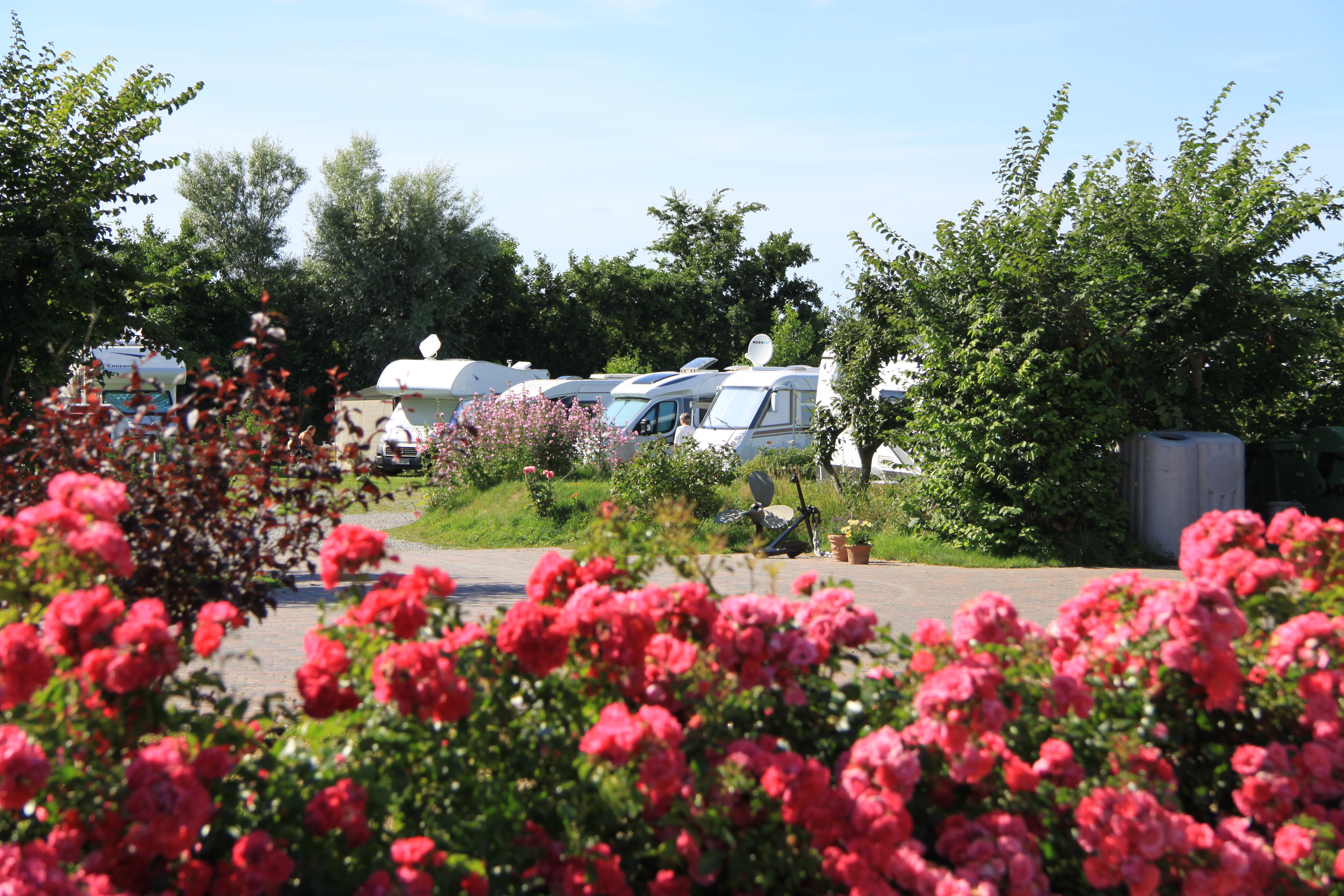 Camperplaats Utersum op Föhr