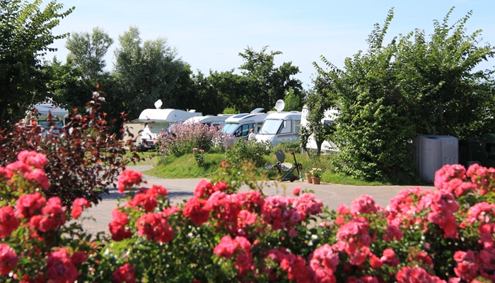Wohnmobilstellplatz Utersum auf Föhr