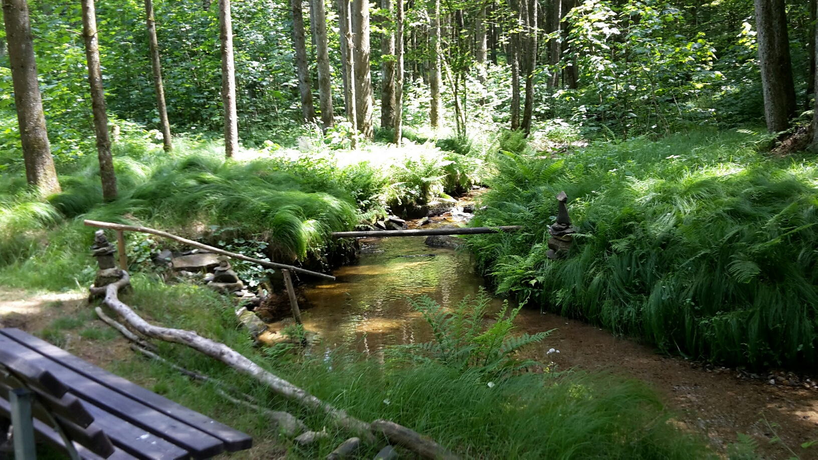 Pure natuur, Beiers bos