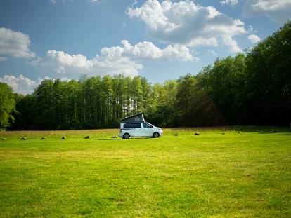 Motorhome parking space - Art des Stellplatz: eigenständiger Stellplatz - Cloppenburg - Reisemobilstellplatz Hartensbergsee - Reisemobil Wiese