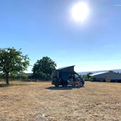 Parkeerplaats voor campers - Zwischen Weinbergen und Rheinblick