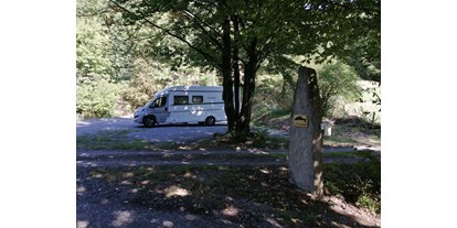 Reisemobilstellplatz - Bad Rappenau - Forellenbauer Schneider
