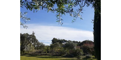 Reisemobilstellplatz - Umgebungsschwerpunkt: am Land - Facho de Azoia - Blick über den Garten zur Küste - Quinta Arcadia bei Lissabon